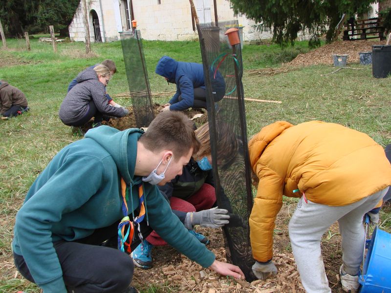 Création par les lutins et lutines, par les louvettes et louveteaux, par les éclaireuses et éclaireurs, par les aînées et les aînés, par les responsables, par les parents, d’un bois au Puits-Bertin